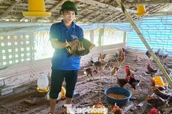 Khát vọng làm giàu từ nông nghiệp Bí thư Chi đoàn bản vùng cao
