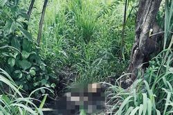 Công an kêu gọi cung cấp thông tin liên quan vụ bộ xương người trong khu đô thị Đại học Quốc gia TPHCM