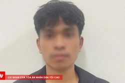 Bắt đối tượng lừa người yêu chiếm đoạt hơn 1,4 tỷ đồng