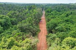 Hiện trạng tuyến đường xuy&ecirc;n rừng trước khi khởi c&ocirc;ng 13km cầu cạn tr&ecirc;n cao