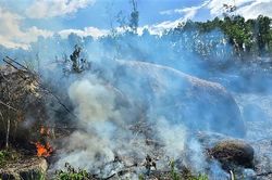 Phát hiện thi thể người đàn ông sau khi khống chế đám cháy rừng ở Đà Nẵng