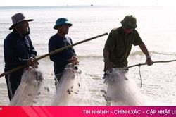 Độc đáo nghề kéo lưới rùng của ngư dân Hải Ninh
