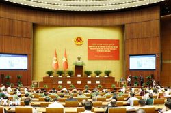 Nghi&ecirc;n cứu, học tập, qu&aacute;n triệt v&agrave; triển khai thực hiện Nghị quyết số 10-NQ/TW