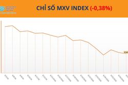 MXV-Index giảm nhẹ, dòng tiền tập trung vào nhóm họ đậu và cà phê
