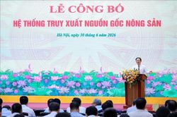 Điểm tin kinh tế Việt Nam nổi bật ngày 30/6/2026