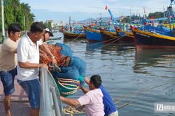 Chủ tàu 'đỏ mắt' tìm bạn thuyền, nghề biển đối mặt bài toán thiếu lao động