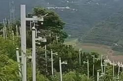 Nông dân 'trồng' hơn 170 camera phủ kín đồi để đòi thêm tiền bồi thường