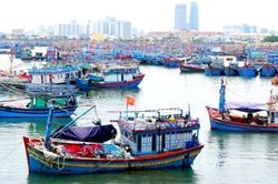 Vi phạm về xuất nhập khẩu thủy sản sống bị phạt tới 50 triệu đồng