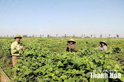 B&iacute; thư chi bộ kh&eacute;o d&acirc;n vận