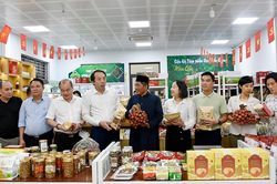 Phát triển hệ sinh thái Halal cho khu vực kinh tế tập thể Bắc Ninh