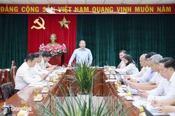 Ban Kinh tế - Ngân sách HĐND thành phố thẩm tra nhiều nội dung trình kỳ họp giữa năm 2026