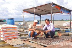 Xã An Long: Khai thác lợi thế sông Tiền