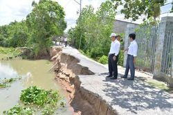 Đồng Tháp: Tăng cường phòng, chống sụt lún, sạt lở, ngập úng, hạn hán, xâm nhập mặn