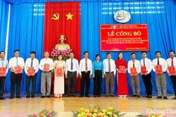 Xã Hậu Mỹ: Công bố sắp xếp, thành lập các ấp