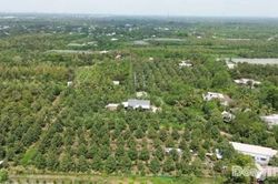 Đồng Th&aacute;p: Phấn đấu đến cuối năm 2027, 100% diện t&iacute;ch c&acirc;y trồng chủ lực xuất khẩu được cấp m&atilde; số v&ugrave;ng trồng