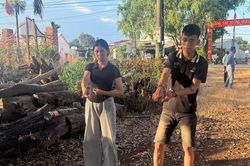 Bắt đôi nam nữ 17 tuổi chuyên trộm xe công nông