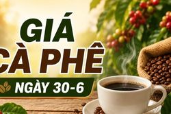 Gi&aacute; c&agrave; ph&ecirc; ng&agrave;y 30-6: Thị trường thế giới tăng mạnh