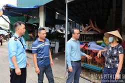 Chủ động phòng cúm gia cầm