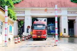 Để Cốc Nam s&ocirc;i động trở lại