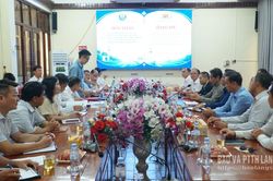 Trao đổi kinh nghiệm quản lý, phát triển hạ tầng giao thông đường bộ