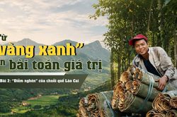 B&agrave;i 2: 'Điểm nghẽn' của chuỗi quế L&agrave;o Cai