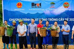 Xã Hạnh Phúc ra quân trồng cây theo mô hình nông - lâm kết hợp