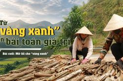 B&agrave;i cuối: Mở lối cho 'v&agrave;ng xanh'