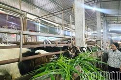 Hợp L&yacute; khai th&aacute;c lợi thế, tạo động lực ph&aacute;t triển