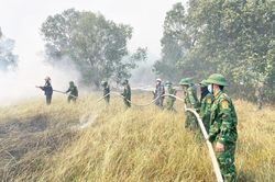 Giữ rừng giữa mùa nắng nóng