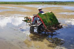Để hợp tác xã bứt phá trong nền kinh tế hiện đại-Bài 2: Gỡ 'điểm nghẽn' để hợp tác xã hội nhập