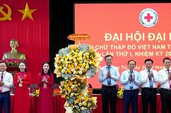 Đại hội đại biểu Hội Chữ thập đỏ Việt Nam tỉnh lần thứ I