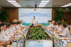 Ph&oacute; Thủ tướng Thường trực Phạm Gia T&uacute;c l&agrave;m việc với TKV về th&uacute;c đẩy tăng trưởng hai con số