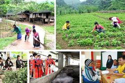 Giao kế hoạch đầu tư công vốn ngân sách trung ương thực hiện Chương trình mục tiêu quốc gia
