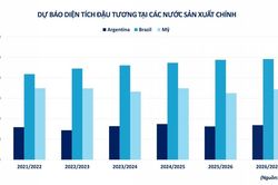 Triển vọng phục hồi của giá đậu tương tiếp tục chịu sức ép