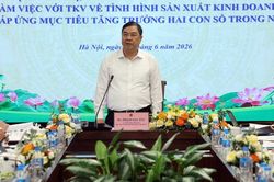 Khai th&aacute;c kho&aacute;ng sản chủ động, tr&aacute;nh phụ thuộc nhập khẩu