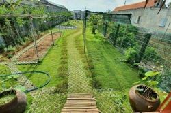 Chuyển thêm 200m² đất trồng cây lâu năm sang đất ở có được miễn, giảm tiền sử dụng đất không?