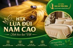 HTX Lụa đũi Nam Cao – Dệt nên giá trị kinh tế từ hồn cốt làng nghề