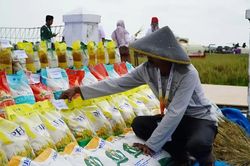 Indonesia lên kế hoạch xuất khẩu 200.000 tấn gạo sang ASEAN và Trung Đông