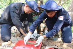 Tập trung cao nhất cho nhiệm vụ tìm kiếm và xác định danh tính hài cốt liệt sỹ