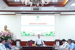 Đề xuất tiêu chuẩn mới đối với người đại diện pháp luật công ty chứng khoán