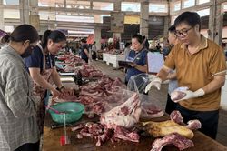 Giám sát chất lượng an toàn thực phẩm nông, lâm, thủy sản năm 2026