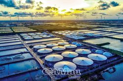 Ðộng lực tăng trưởng từ ứng dụng công nghệ cao