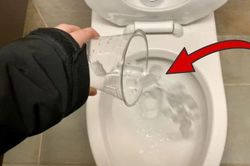 Đổ đá lạnh vào bồn cầu: Mẹo hay mang lại lợi ích bất ngờ ít người biết