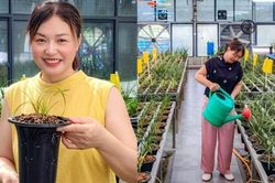 Từ vài khóm lan bị xem là 'cỏ dại', người phụ nữ đầu tư hơn 3,8 tỷ đồng xây dựng mô hình giúp nuôi sống cả ngôi làng