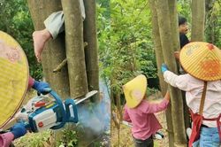 Xem giải cứu em bé mắc kẹt khi trèo cây, dân mạng than 'khối nghỉ hè quá mạnh'