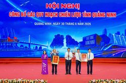 Quảng Ninh công bố 5 quy hoạch chiến lược