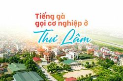 Tiếng gà gọi cơ nghiệp ở Thư Lâm