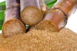 C&ocirc;ng bố kết quả r&agrave; so&aacute;t mới nhất về chống lẩn tr&aacute;nh đường m&iacute;a
