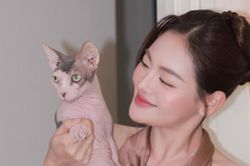 Thùy Anh tằn tiện từng đồng để chăm sóc '5 đứa con thơ'