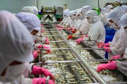 Xuất khẩu thủy sản tăng gần 13% sau 6 th&aacute;ng